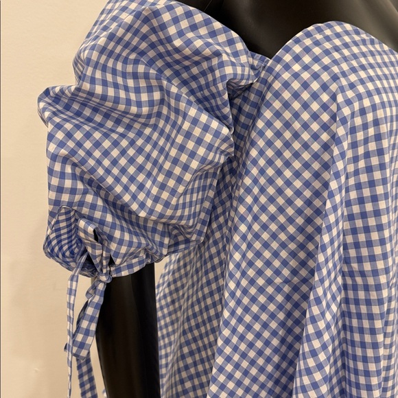 Caroline Constas Gingham Corset Off-Shoulder Top S Bergdorf Goodman Never Worn - Picture 9 of 12